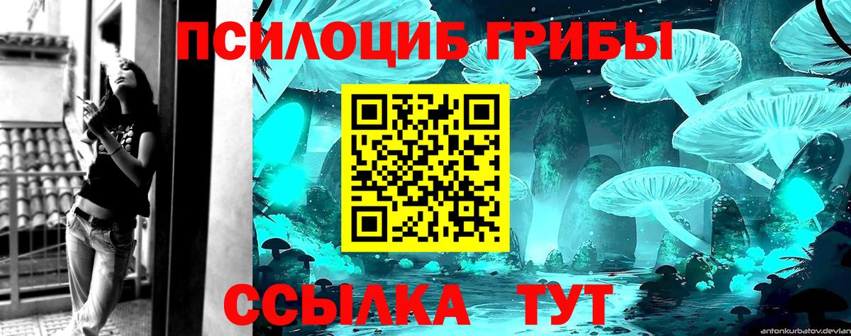 Галлюциногенные грибы мицелий  Псилоцибиновые грибы мицелий  Вход с VPN  Надым 